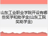 山东工业职业学院开设有哪些奖学和助学金(山东工院奖助学金)
