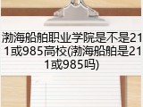 渤海船舶职业学院是不是211或985高校(渤海船舶是211或985吗)