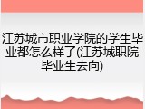 江苏城市职业学院的学生毕业都怎么样了(江苏城职院毕业生去向)