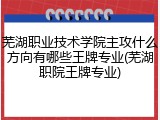 芜湖职业技术学院主攻什么方向有哪些王牌专业(芜湖职院王牌专业)