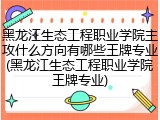 黑龙江生态工程职业学院主攻什么方向有哪些王牌专业(黑龙江生态工程职业学院王牌专业)