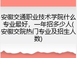 安徽交通职业技术学院什么专业最好，一年招多少人(安徽交院热门专业及招生人数)
