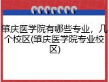 肇庆医学院有哪些专业，几个校区(肇庆医学院专业校区)