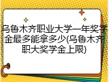 乌鲁木齐职业大学一年奖学金最多能拿多少(乌鲁木齐职大奖学金上限)