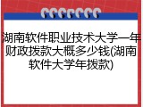 湖南软件职业技术大学一年财政拨款大概多少钱(湖南软件大学年拨款)