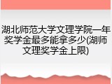 湖北师范大学文理学院一年奖学金最多能拿多少(湖师文理奖学金上限)