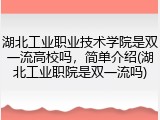 湖北工业职业技术学院是双一流高校吗，简单介绍(湖北工业职院是双一流吗)