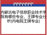 内蒙古电子信息职业技术学院有哪些专业，王牌专业分析(内电院王牌专业)
