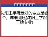 沈阳工学院最好的专业是哪个，详细阐述(沈阳工学院王牌专业)