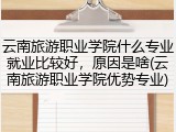 云南旅游职业学院什么专业就业比较好，原因是啥(云南旅游职业学院优势专业)