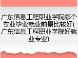 广东信息工程职业学院哪个专业毕业就业前景比较好(广东信息工程职业学院好就业专业)