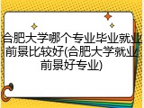 合肥大学哪个专业毕业就业前景比较好(合肥大学就业前景好专业)