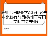 德州工程职业学院读什么专业比较有前景(德州工程职业学院前景专业)