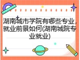 湖南城市学院有哪些专业，就业前景如何(湖南城院专业就业)