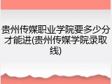 贵州传媒职业学院要多少分才能进(贵州传媒学院录取线)