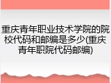重庆青年职业技术学院的院校代码和邮编是多少(重庆青年职院代码邮编)