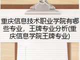 重庆信息技术职业学院有哪些专业，王牌专业分析(重庆信息学院王牌专业)
