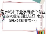 南京城市职业学院哪个专业毕业就业前景比较好(南京城职好就业专业)