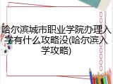 哈尔滨城市职业学院办理入学有什么攻略没(哈尔滨入学攻略)