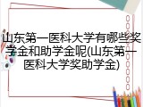 山东第一医科大学有哪些奖学金和助学金呢(山东第一医科大学奖助学金)