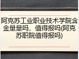 阿克苏工业职业技术学院含金量量吗，值得报吗(阿克苏职院值得报吗)
