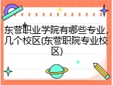 东营职业学院有哪些专业，几个校区(东营职院专业校区)