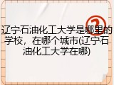 辽宁石油化工大学是哪里的学校，在哪个城市(辽宁石油化工大学在哪)