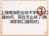 上海南湖职业技术学院的口碑如何，现在怎么样了(南湖职院口碑现状)