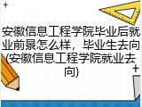 安徽信息工程学院毕业后就业前景怎么样，毕业生去向(安徽信息工程学院就业去向)