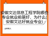 安徽文达信息工程学院哪些专业就业前景好，为什么(安徽文达好就业专业)