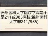 锦州医科大学医疗学院是不是211或985高校(锦州医科大学非211/985)