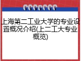 上海第二工业大学的专业设置概况介绍(上二工大专业概览)