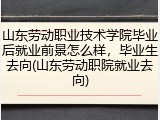 山东劳动职业技术学院毕业后就业前景怎么样，毕业生去向(山东劳动职院就业去向)