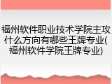 福州软件职业技术学院主攻什么方向有哪些王牌专业(福州软件学院王牌专业)