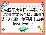 安徽国际商务职业学院毕业后就业前景怎么样，毕业生去向(安徽国际商务职业学院就业去向)