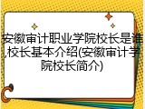 安徽审计职业学院校长是谁,校长基本介绍(安徽审计学院校长简介)