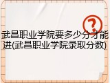 武昌职业学院要多少分才能进(武昌职业学院录取分数)