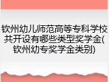 钦州幼儿师范高等专科学校共开设有哪些类型奖学金(钦州幼专奖学金类别)