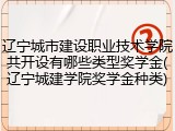 辽宁城市建设职业技术学院共开设有哪些类型奖学金(辽宁城建学院奖学金种类)
