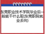 东莞职业技术学院毕业后一般能干什么呢(东莞职院就业去向)