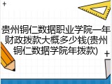 贵州铜仁数据职业学院一年财政拨款大概多少钱(贵州铜仁数据学院年拨款)