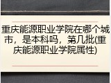 重庆能源职业学院在哪个城市，是本科吗，第几批(重庆能源职业学院属性)