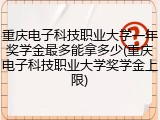 重庆电子科技职业大学一年奖学金最多能拿多少(重庆电子科技职业大学奖学金上限)