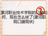 漯河职业技术学院的口碑如何，现在怎么样了(漯河职院口碑现状)