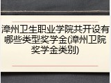 漳州卫生职业学院共开设有哪些类型奖学金(漳州卫院奖学金类别)