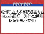 朔州职业技术学院哪些专业就业前景好，为什么(朔州职院好就业专业)