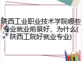 陕西工业职业技术学院哪些专业就业前景好，为什么(陕西工院好就业专业)