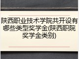 陕西职业技术学院共开设有哪些类型奖学金(陕西职院奖学金类别)