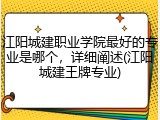 江阳城建职业学院最好的专业是哪个，详细阐述(江阳城建王牌专业)