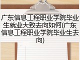 广东信息工程职业学院毕业生就业大致去向如何(广东信息工程职业学院毕业生去向)